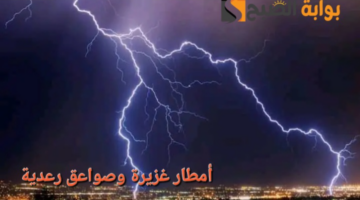 image ٦٤١