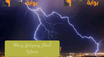 image ٦٤٥