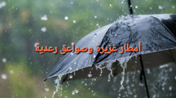 image ٦٦٢