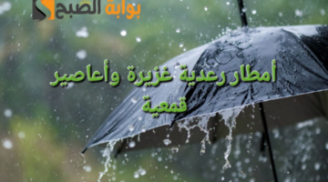 image ٦٦٩ 1