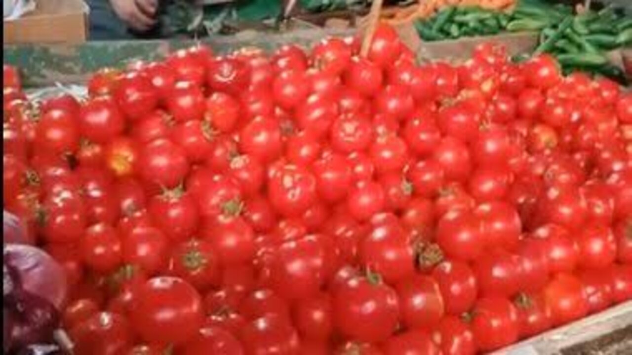 مجنونه يا طماطم.. سعر كيلو الطماطم اليوم الأحد الموافق 20 أكتوبر 2024 في الأسواق