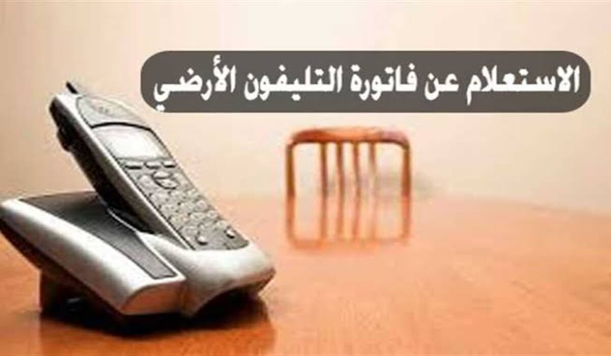 “عشان ميقطعش عليك” خطوات الاستعلام عن فاتورة التليفون الأرضي لشهر أكتوبر 2024 عبر بوابة المصرية للاتصالات