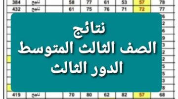 pdf كشوفات نتائج الثالث متوسط الدور الثالث 2024