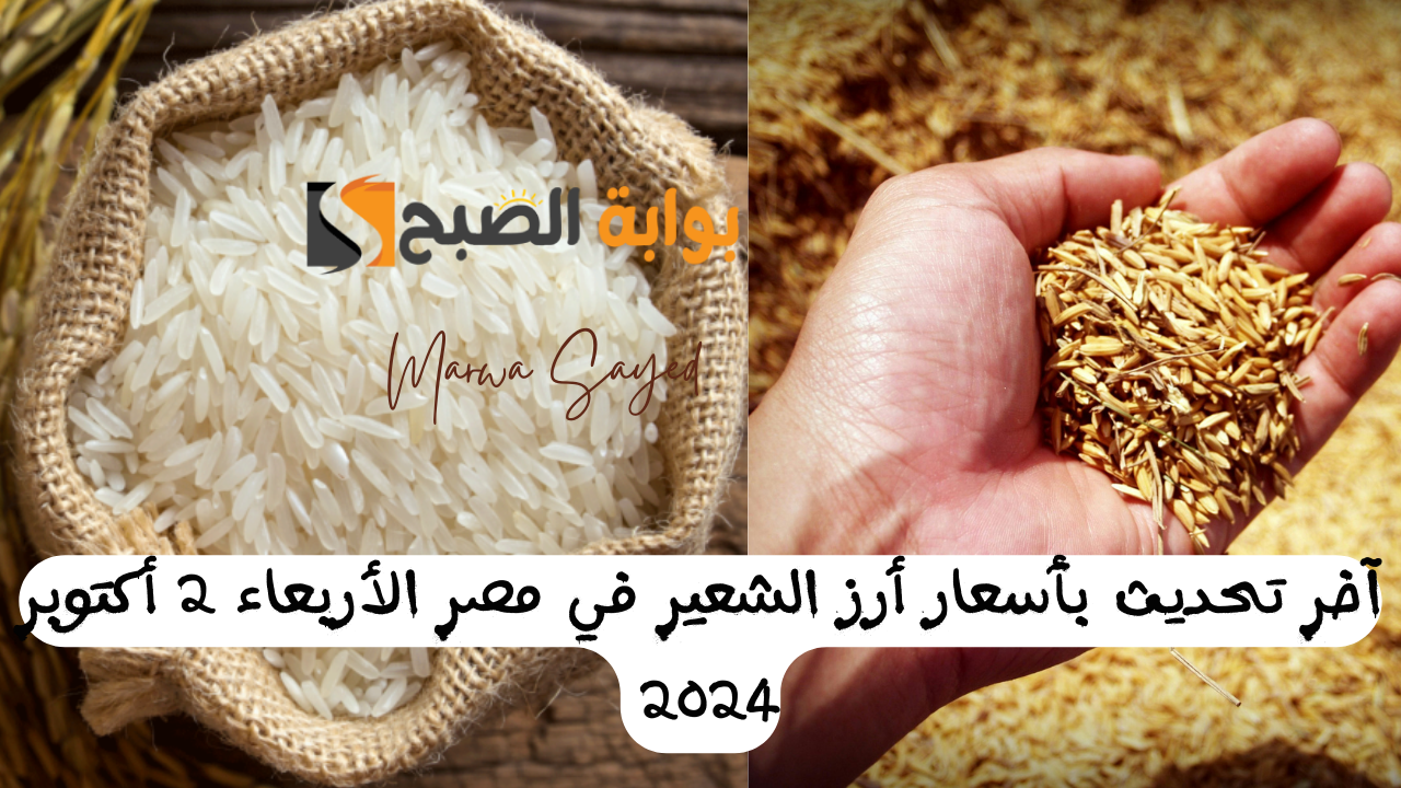 “بكام وصل سعر الكيلو اليوم” .. آخر تحديث بأسعار أرز الشعير في مصر الأربعاء 2 أكتوبر 2024 لكافة الأنواع الرفيع والعريض منها