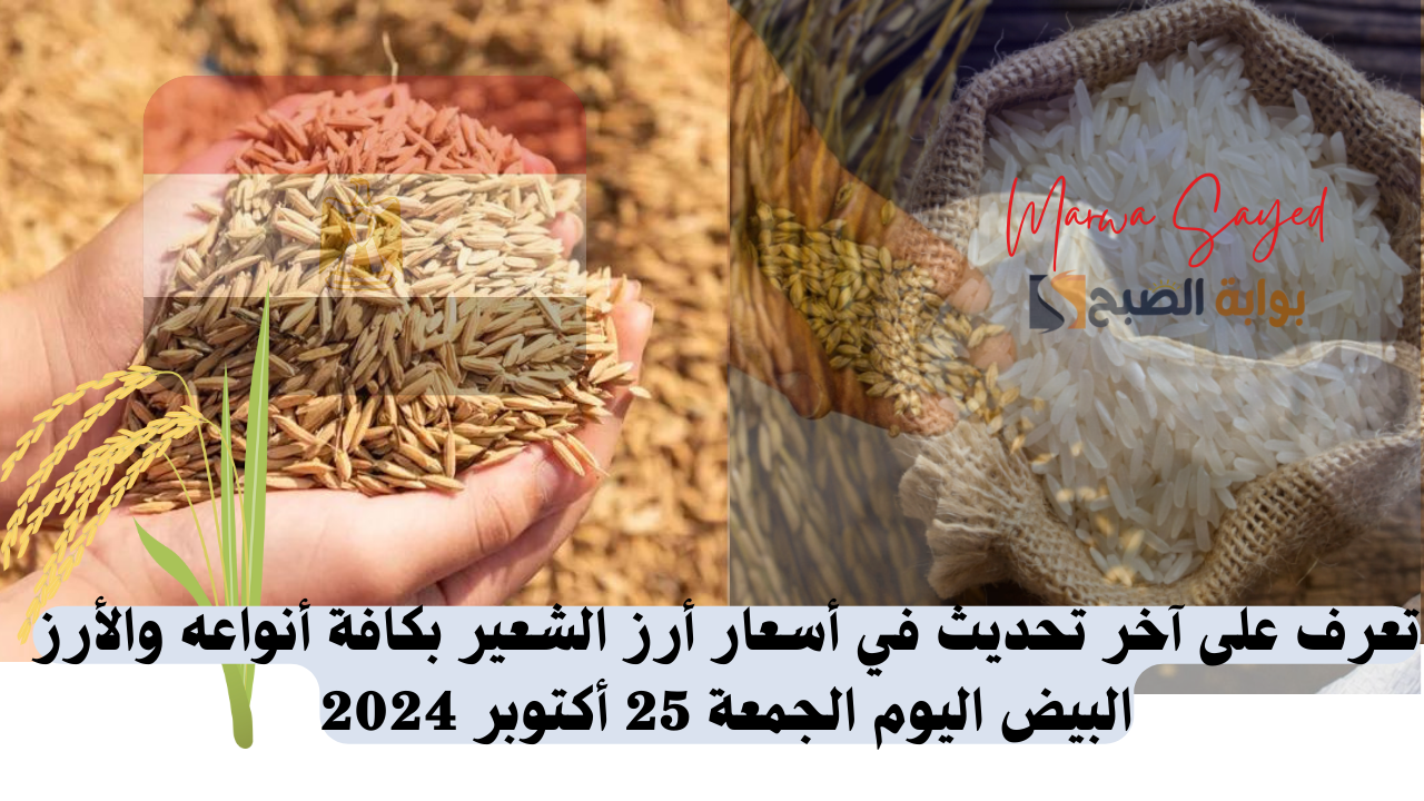 “استقرار جديد في سعر الحبة العريضة” .. تعرف على آخر تحديث في أسعار أرز الشعير بكافة أنواعه والأرز البيض اليوم الجمعة 25 أكتوبر 2024