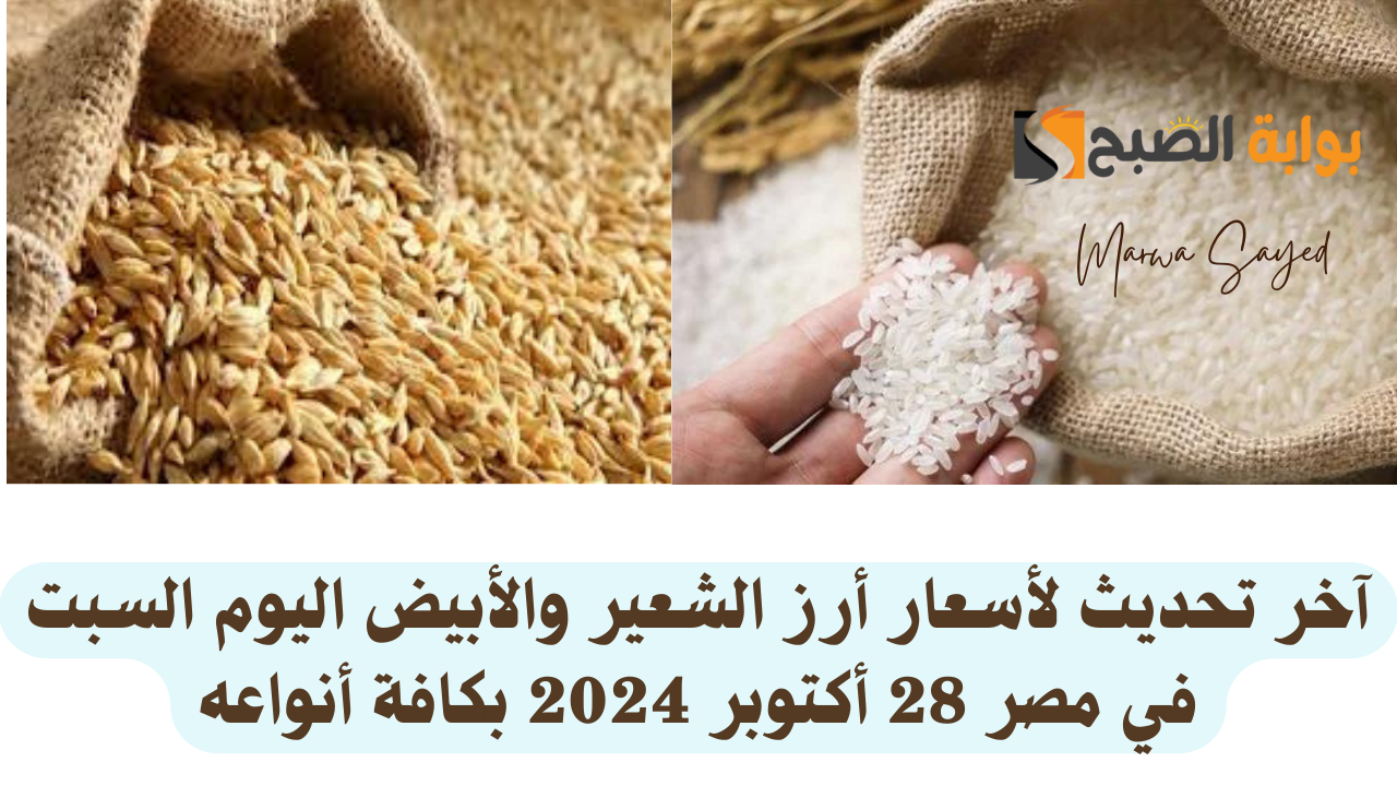 “وصل سعر كيلو الحبة الرفيعة كام النهاردة” .. آخر تحديث لأسعار أرز الشعير والأبيض اليوم السبت في مصر 28 أكتوبر 2024 بكافة أنواعه