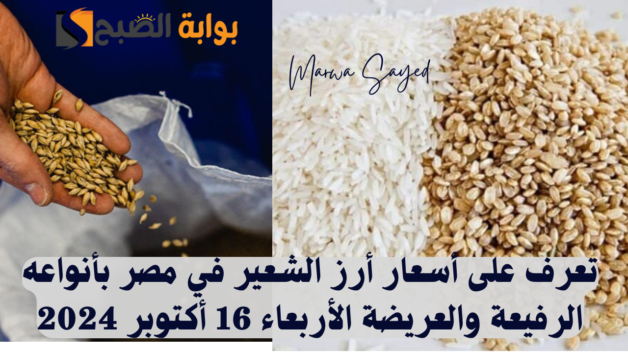 “بكم سعر الطن وصل اليوم” .. تعرف على أسعار أرز الشعير في مصر بأنواعه الرفيعة والعريضة الأربعاء 16 أكتوبر 2024