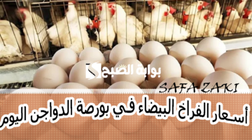 أسعار الفراخ البيضاء في بورصة الدواجن اليوم 2