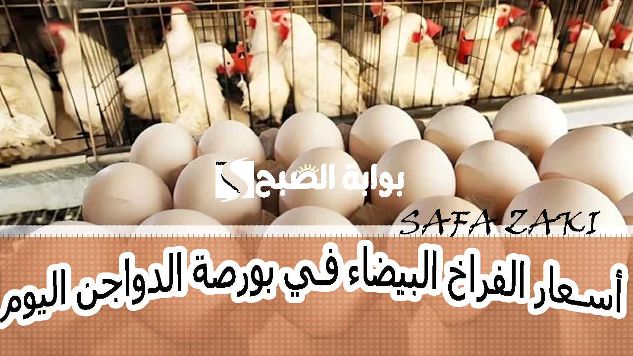 الفرخة تعملها كام أنهاردة .. انحفاض أسعار الفراخ البيضاء في بورصة الدواجن اليوم الإثنين 28 أكتوبر 2024 للبيع للمستهلك بالأسواق 2 الفرخة تعملها كام أنهاردة .. انحفاض أسعار الفراخ البيضاء في بورصة الدواجن اليوم الإثنين 28 أكتوبر 2024 للبيع للمستهلك بالأسواق
