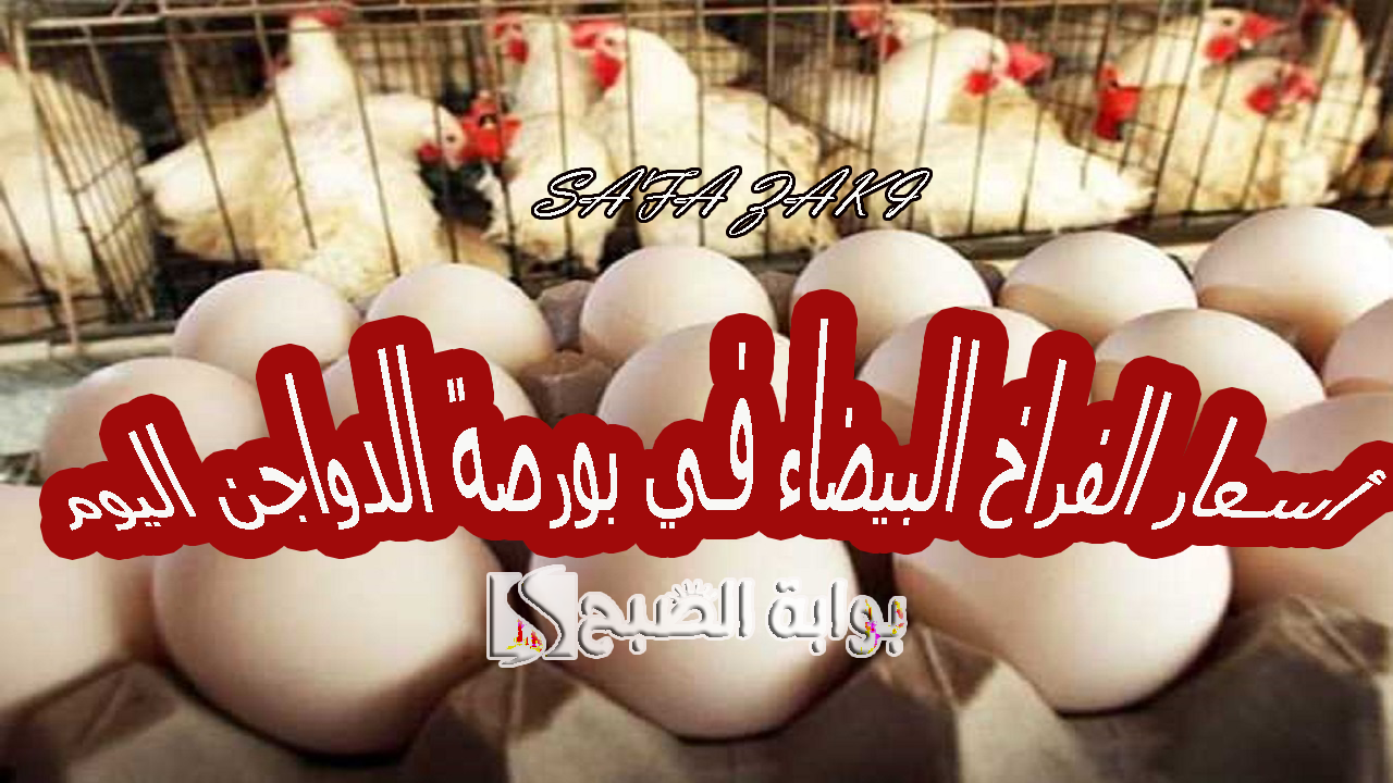 "بكام الفرخة كاملة".. أسعار الفراخ البيضاء في بورصة الدواجن اليوم الثلاثاء 8 أكتوبر 2024 وسعرها للبيع لمستهلك في الأسواق المحلية 2 “بكام الفرخة كاملة”.. أسعار الفراخ البيضاء في بورصة الدواجن اليوم الثلاثاء 8 أكتوبر 2024 وسعرها للبيع لمستهلك في الأسواق المحلية