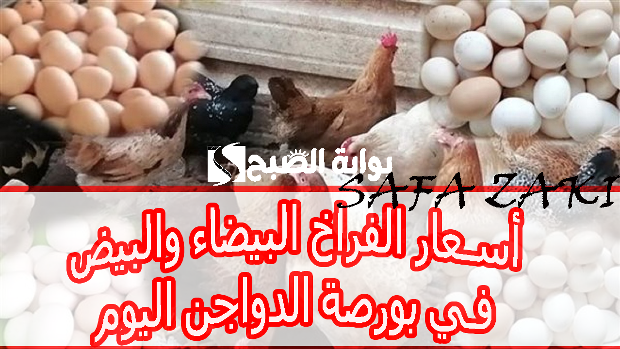 الفرخة حية الكليو بكام .. أسعار الفراخ البيضاء والبيض في بورصة الدواجن اليوم الجمعة 25 أكتوبر 2024  بعد الانخفاض