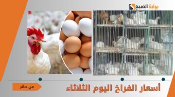 أسعار الفراخ اليوم الثلاثاء 1