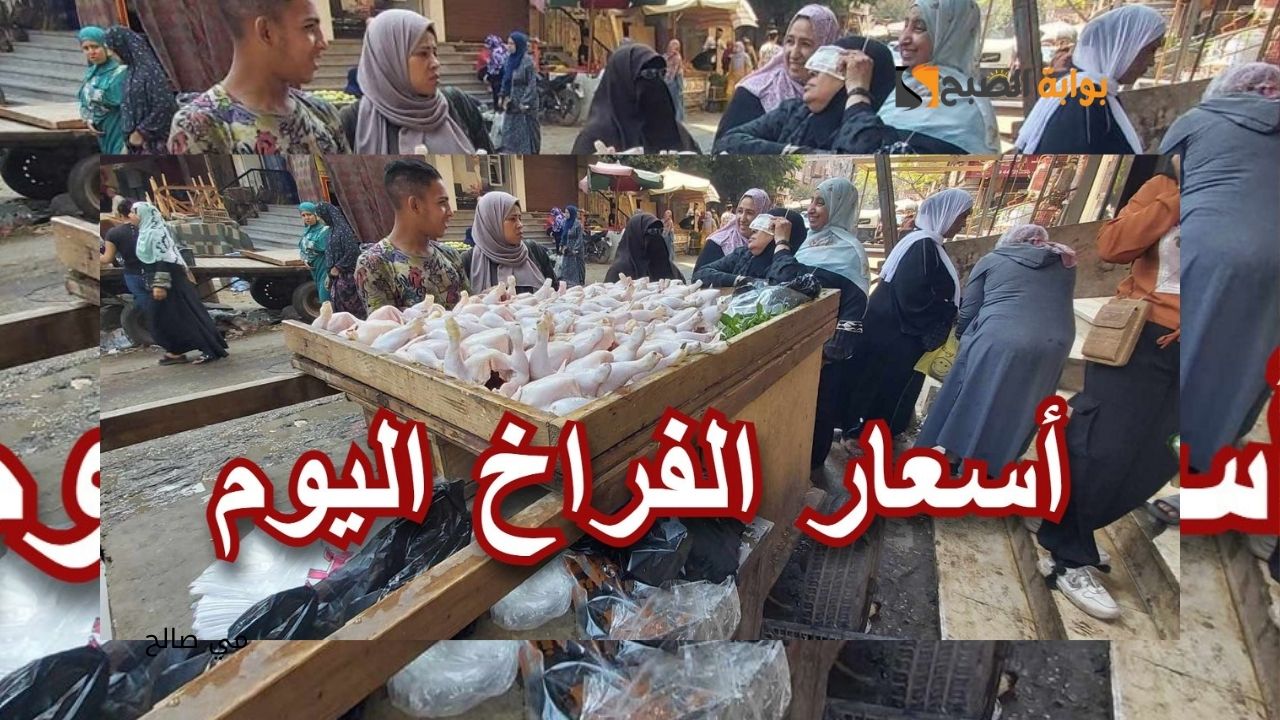 "شوف الجديد" أسعار الفراخ اليوم الثلاثاء 8 أكتوبر 2024 في مصر باستقرار نسبي بالأسواق 5 “شوف الجديد” أسعار الفراخ اليوم الثلاثاء 8 أكتوبر 2024 في مصر باستقرار نسبي بالأسواق