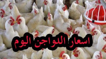 أسعار بورصة الدواجن اليوم
