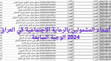 أسماء المشمولين بالرعاية الاجتماعية في العراق 2024 الوجبة السابعة