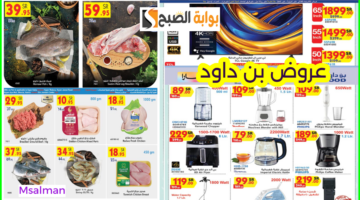 أقوى عروض بن داود 2 1