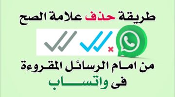 إخفاء علامات واتساب الزرقاء1