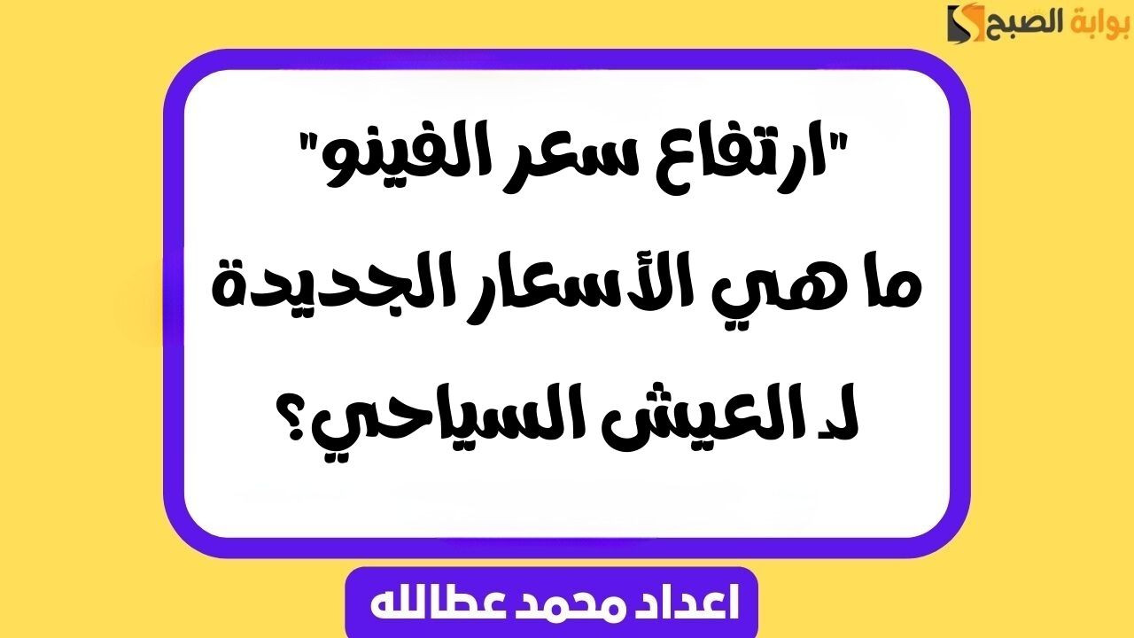 "ارتفاع سعر الفينو" ما هي الأسعار الجديدة لـ العيش السياحي؟ 6 “ارتفاع سعر الفينو” ما هي الأسعار الجديدة لـ العيش السياحي؟