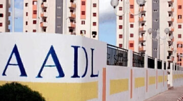 الاستعلام عن أسماء المقبولين في سكنات عدل 31