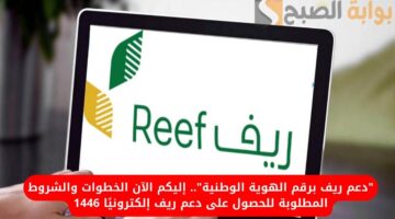 الاستعلام عن دعم ريف