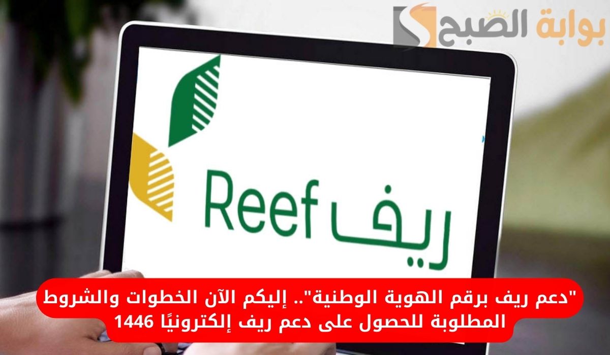 "دعم ريف برقم الهوية الوطنية".. إليكم الآن الخطوات والشروط المطلوبة للحصول على دعم ريف إلكترونيًا 1446 5 “دعم ريف برقم الهوية الوطنية”.. إليكم الآن الخطوات والشروط المطلوبة للحصول على دعم ريف إلكترونيًا 1446