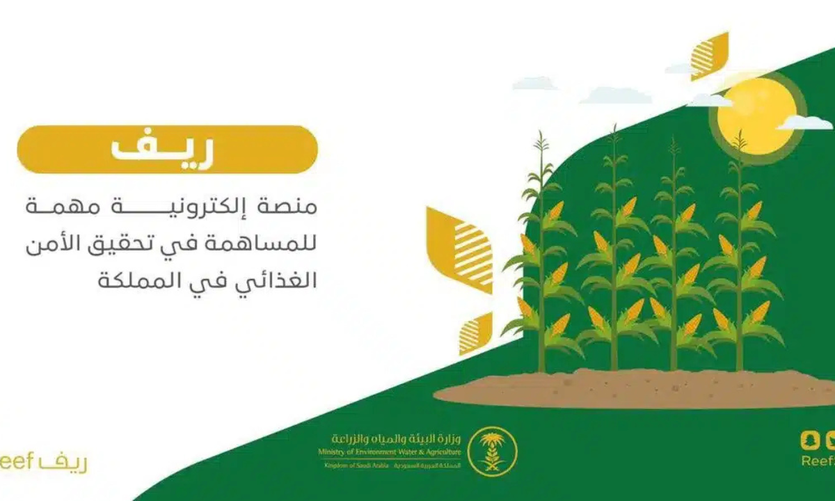 خطوات الاستعلام عن دعم ريف برقم الهوية لشهر نوفمبر 2024.. وشروط التسجيل في برنامج ريف للحصول على الدعم
