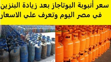 الانبوبة