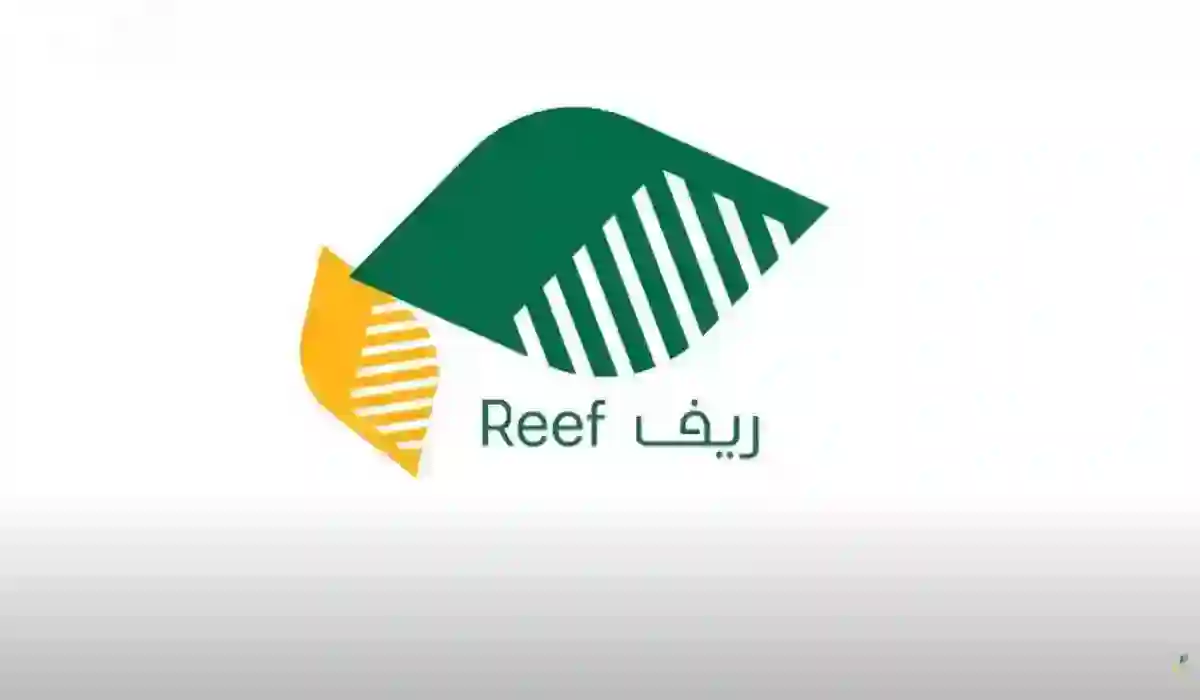 كيف تحصل على دعم الريف السعودي؟ تفاصيل كاملة للتسجيل والاستفادة في 1446