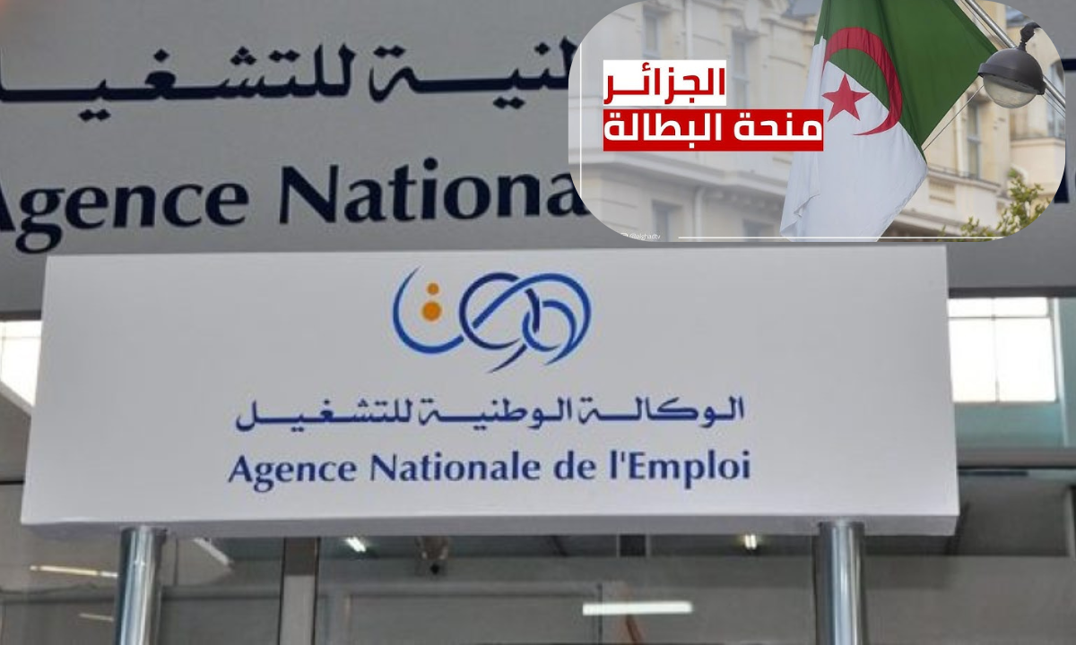 رابط التسجيل في منحة البطالة بالجزائر 2024 والشروط والأوراق المطلوبة.. عبر الموقع الرسمي للوكالة الوطنية للتشغيل