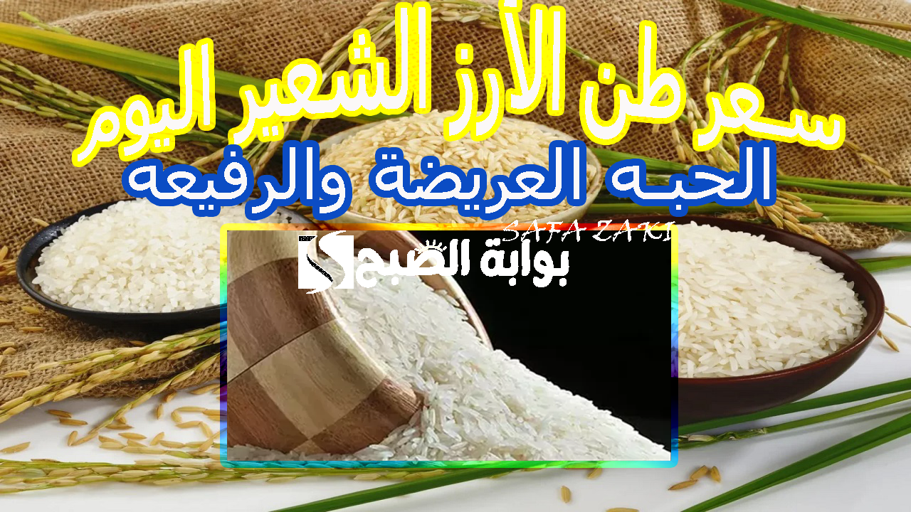 بكام حنشتري انهاردة .. سعر طن الأرز الشعير اليوم الاحد 27 أكتوبر 2024 في الأسواق المحلية عريض وطويل الحبة بكام؟  للتجار والمستهلكين