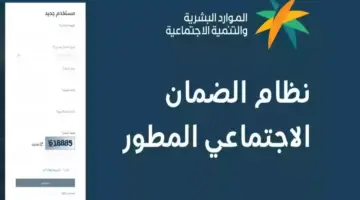 الضمان