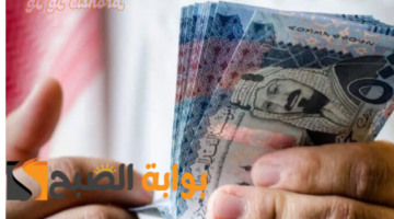 الضمان الاجتماعي الدفعة 35