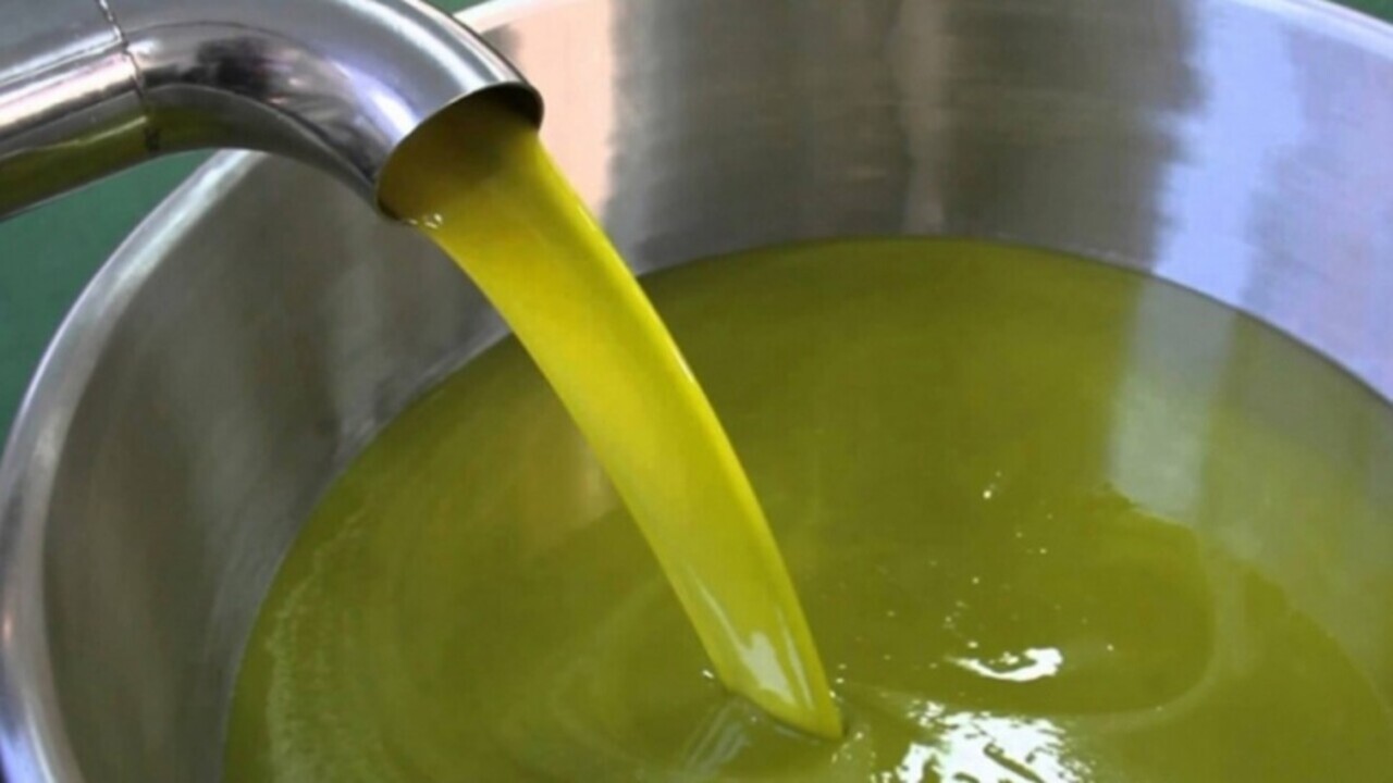 الفرق بين زيت الزيتون الاصلي والزيت المغشوش.. اعرفها قبل ما تشتري