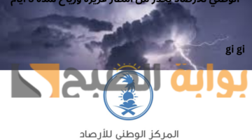 الوطني للأرصاد يحذر من أمطار غزيرة ورياح لمدة 5 أيام