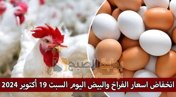 انخفاض اسعار الفراخ والبيض اليوم السبت 19 أكتوبر 2024