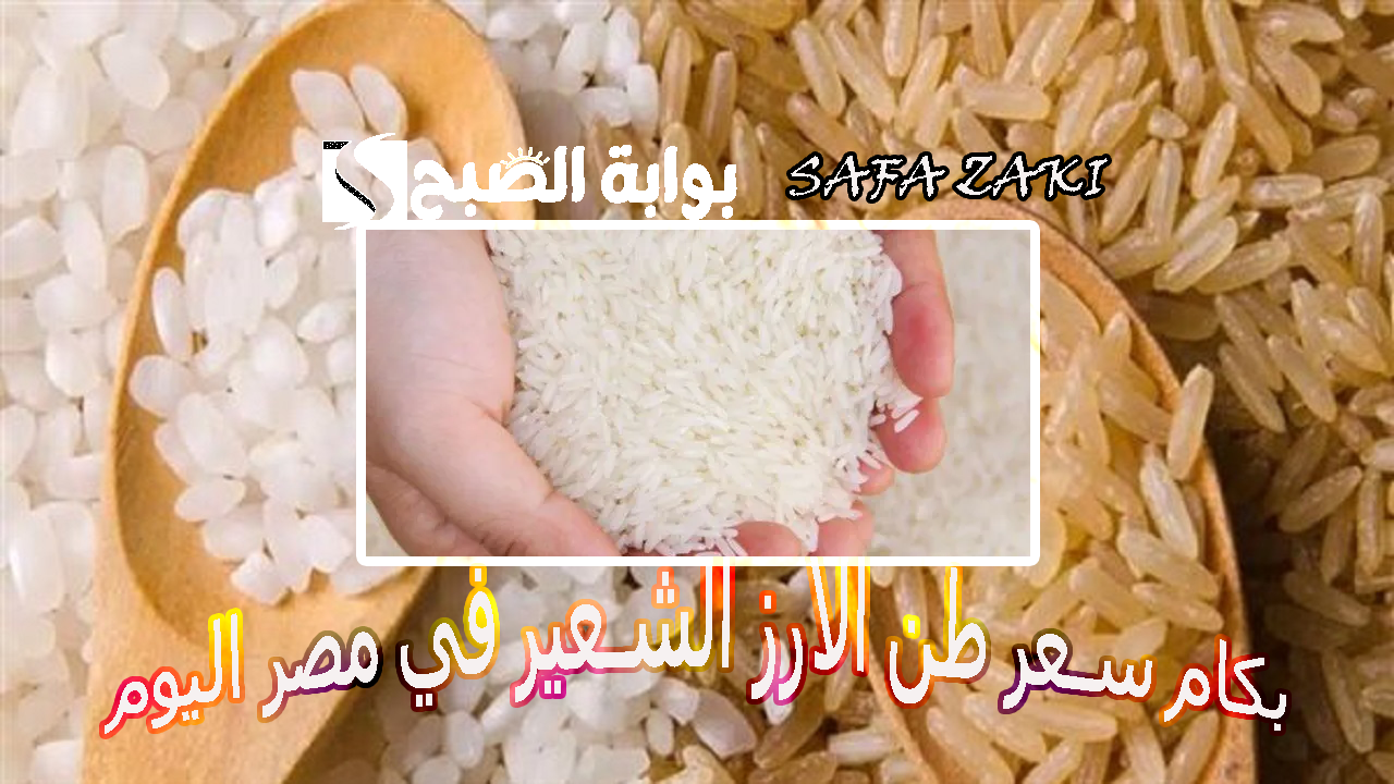 “عريض ورفيع الحبة” .. بكام سعر طن الأرز الشعير في مصر اليوم الجمعة 25 أكتوبر 2024 للتاجر والمستهلك