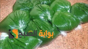 تخزين الملوخية الخضراء