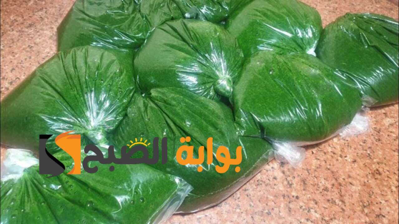 أفضل طرق تخزين الملوخية الخضراء لفترات طويلة دون تغير اللون أو الطعم.. بأسرار المصانع والشركات