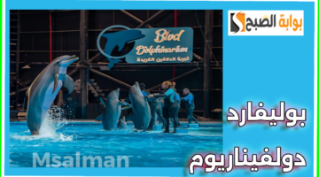 تذاكر بوليفارد دولفيناريوم