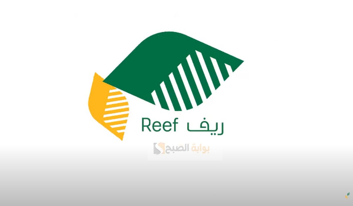 طريقة تسجيل برنامج ريف بالنفاذ الوطني الموحد ومتى الأهلية