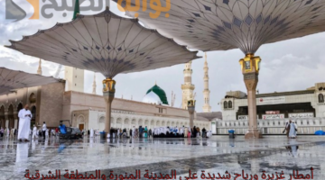 تعليق الدراسة غدا