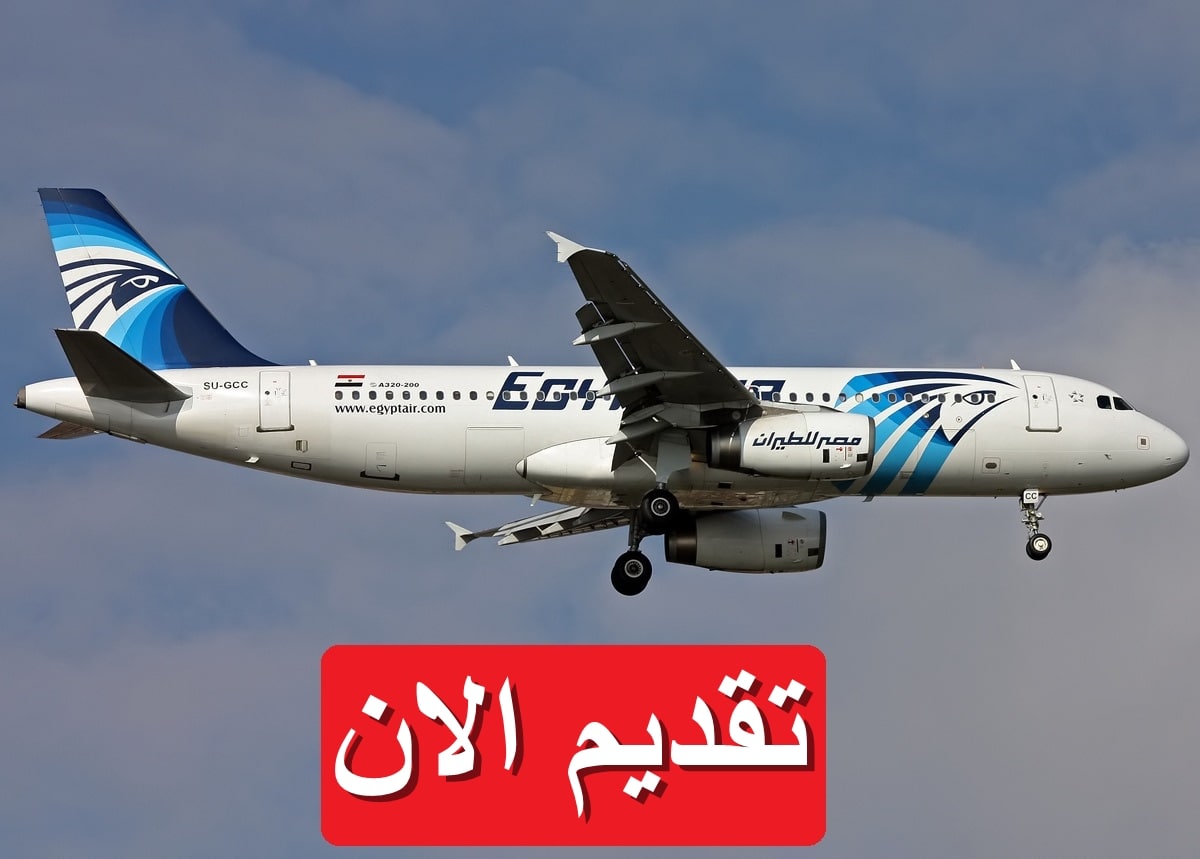 بالرابط والتخصصات.. وظائف مصر للطيران 2024 برواتب مجزية جداً وبدون خبرة 5 بالرابط والتخصصات.. وظائف مصر للطيران 2024 برواتب مجزية جداً وبدون خبرة