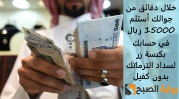 تمويل فينزي