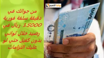 تمويل فينزي