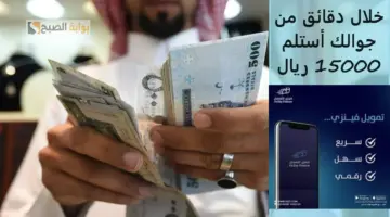 تمويل فينزي 4