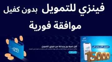 تمويل فينزي 6