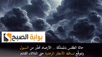 حالة الطقس بالمملكة . الأرصاد تحذِّر من السيول وتتوقَّع تساقط الأمطار الرعدية حتى الثلاثاء القادم
