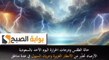 حالة الطقس ودرجات الحرارة اليوم الأحد بالسعودية. الأرصاد تحذِّر من الأمطار الغزيرة وجريان السيل في عدة مناطق