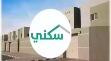 حقيقة تأجيل الدعم السكني لشهر أكتوبر 2024