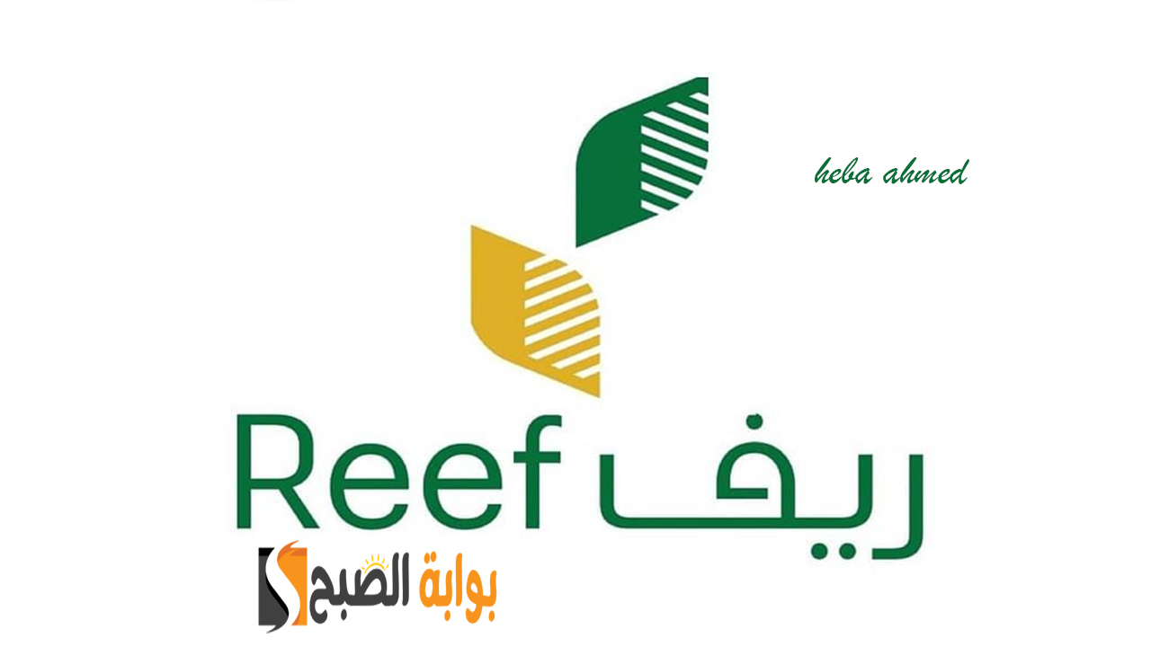 موعد صرف دعم ريف لشهر ديسمبر لجميع المستفيدين 2024